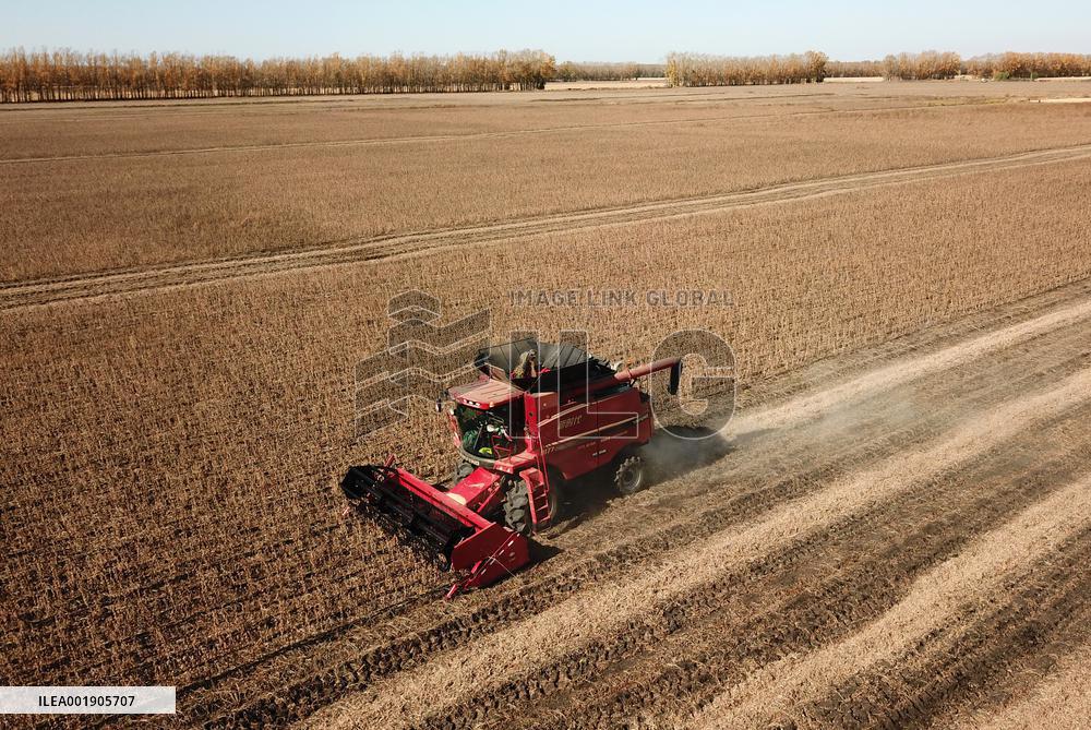 CHINA-HEILONGJIANG-AUTUMN HARVEST-DRONE PHOTO (CN)
