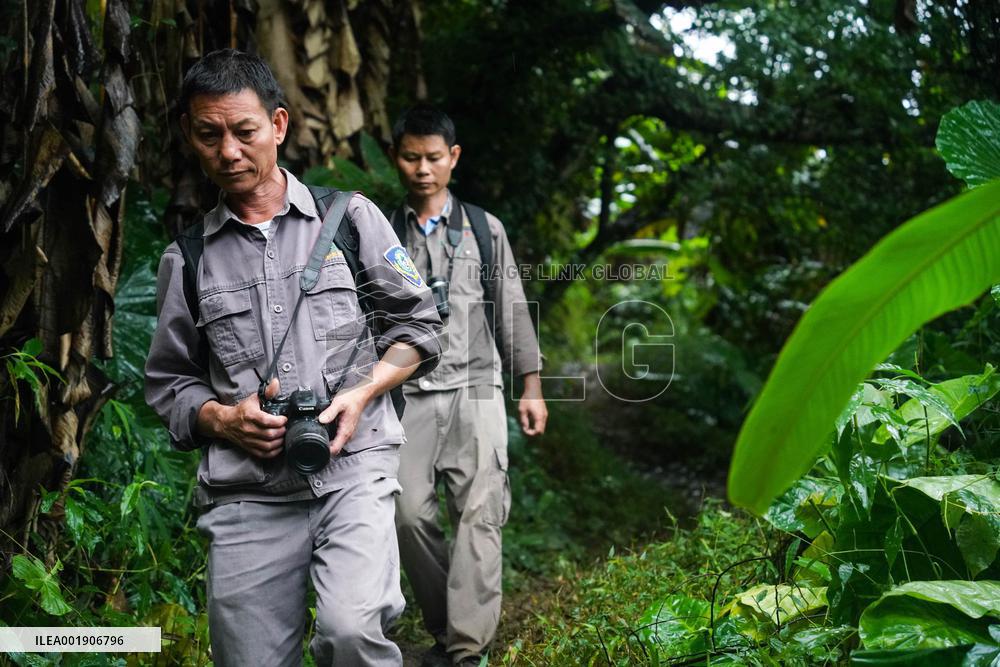 CHINA-HAINAN-HAINAN GIBBONS-RANGER (CN)