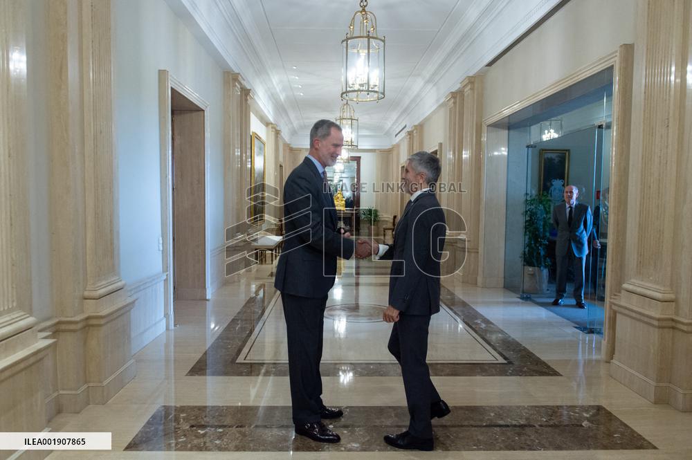 King Felipe Receives Commanders And General Directors of FIEP