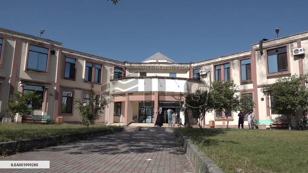 Pakistan, China join hands to augment wheat production, enhance food security