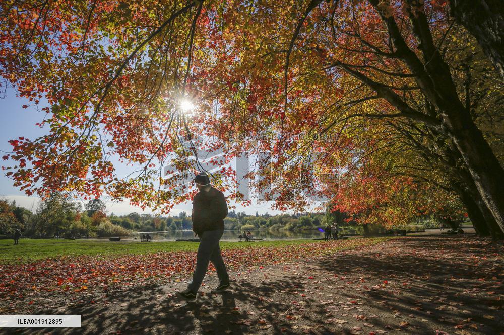 CANADA-VANCOUVER-AUTUMN-SCENERY