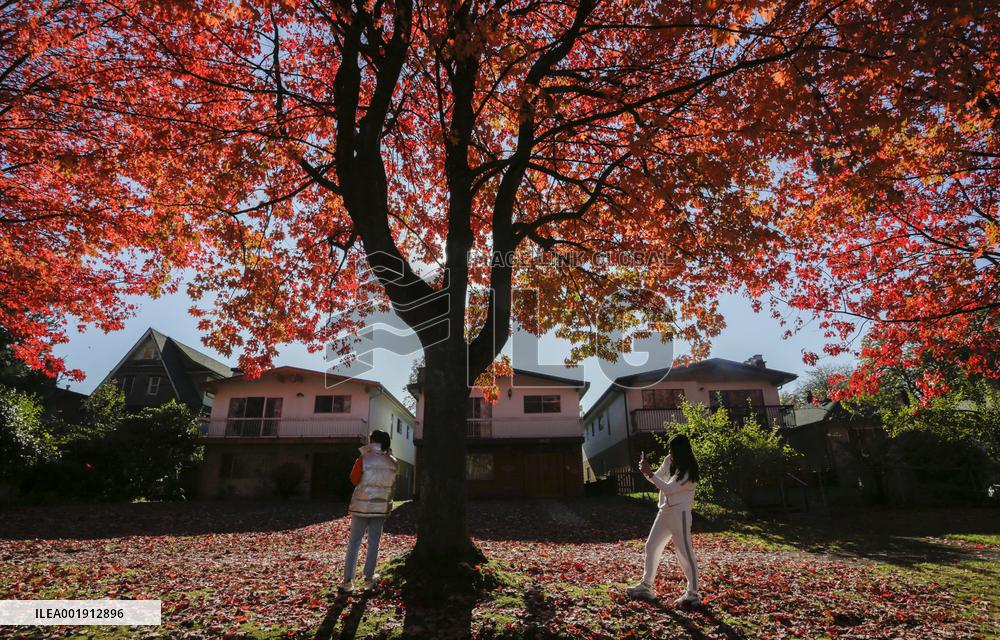 CANADA-VANCOUVER-AUTUMN-SCENERY