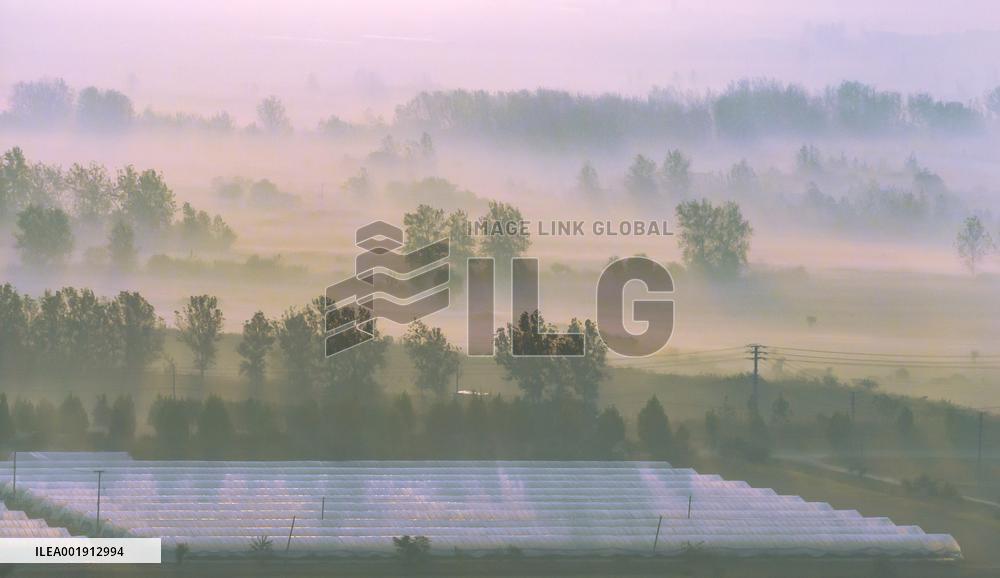 Heavy Fog Hit Suqian