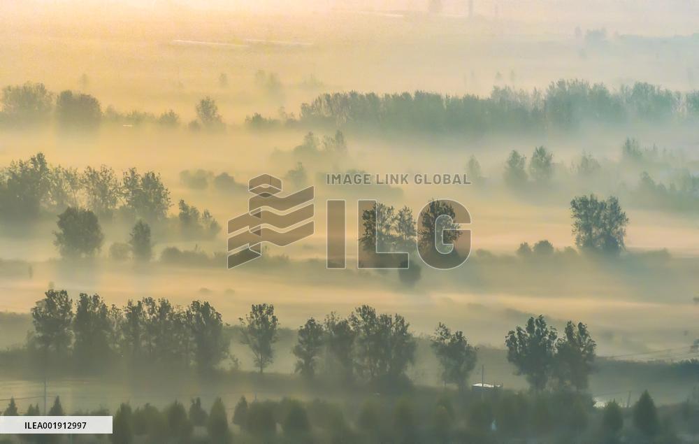 Heavy Fog Hit Suqian