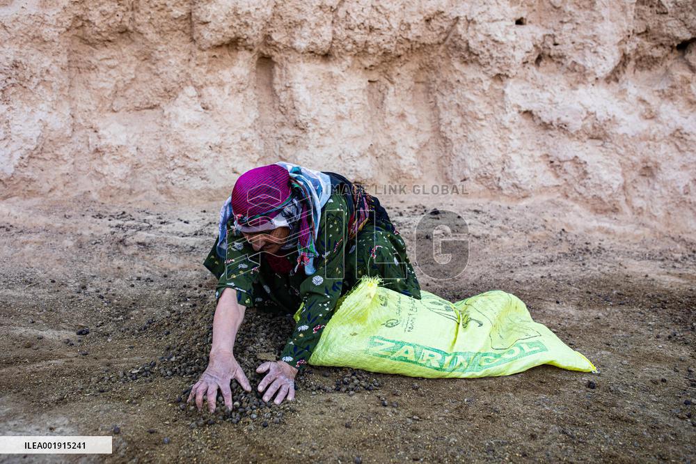 The Kurds of Khorasan - Iran