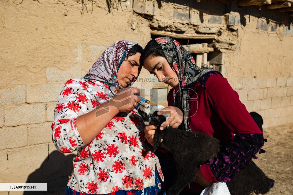 The Kurds of Khorasan - Iran