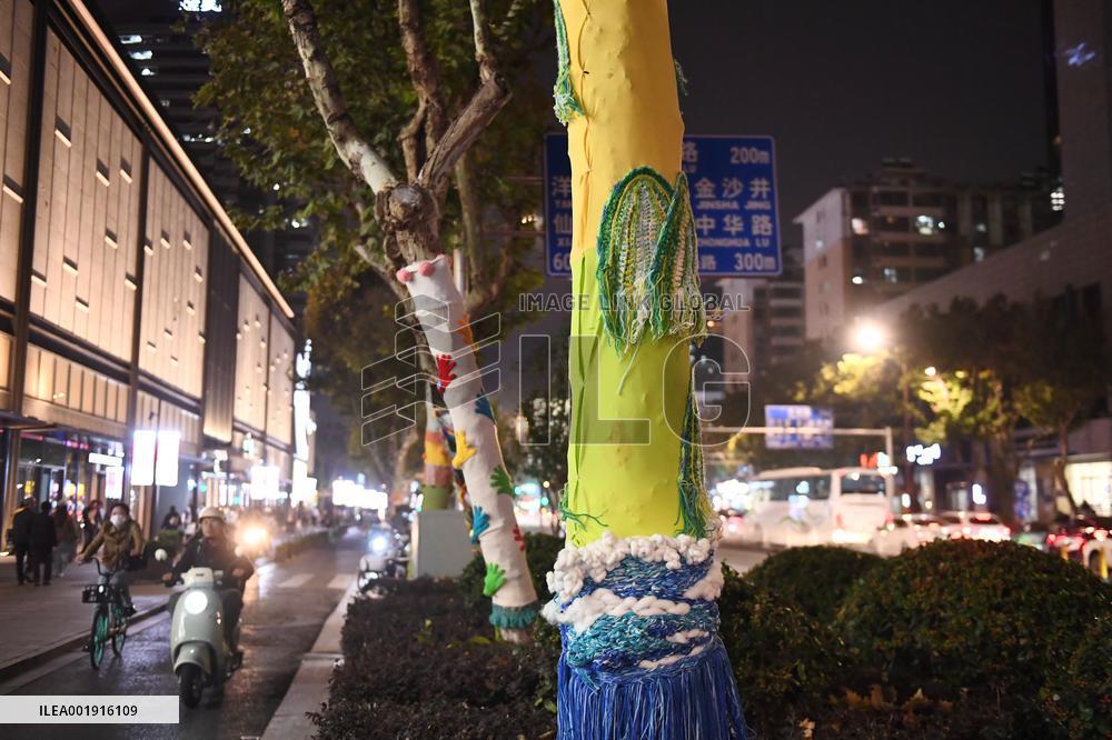 Wutong Tree in Warm Autumn Clothes in Nanjing