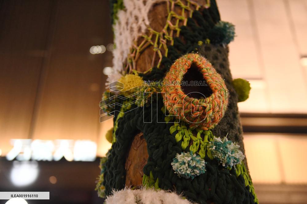 Wutong Tree in Warm Autumn Clothes in Nanjing