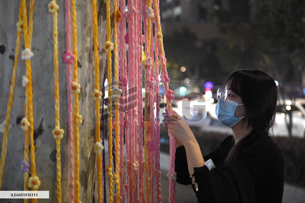 Wutong Tree in Warm Autumn Clothes in Nanjing