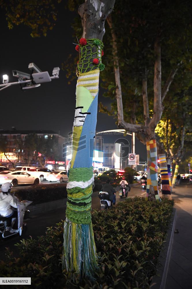 Wutong Tree in Warm Autumn Clothes in Nanjing