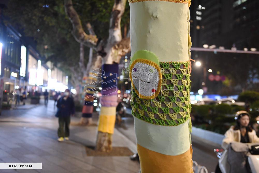 Wutong Tree in Warm Autumn Clothes in Nanjing