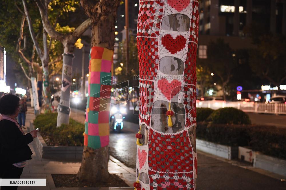 Wutong Tree in Warm Autumn Clothes in Nanjing