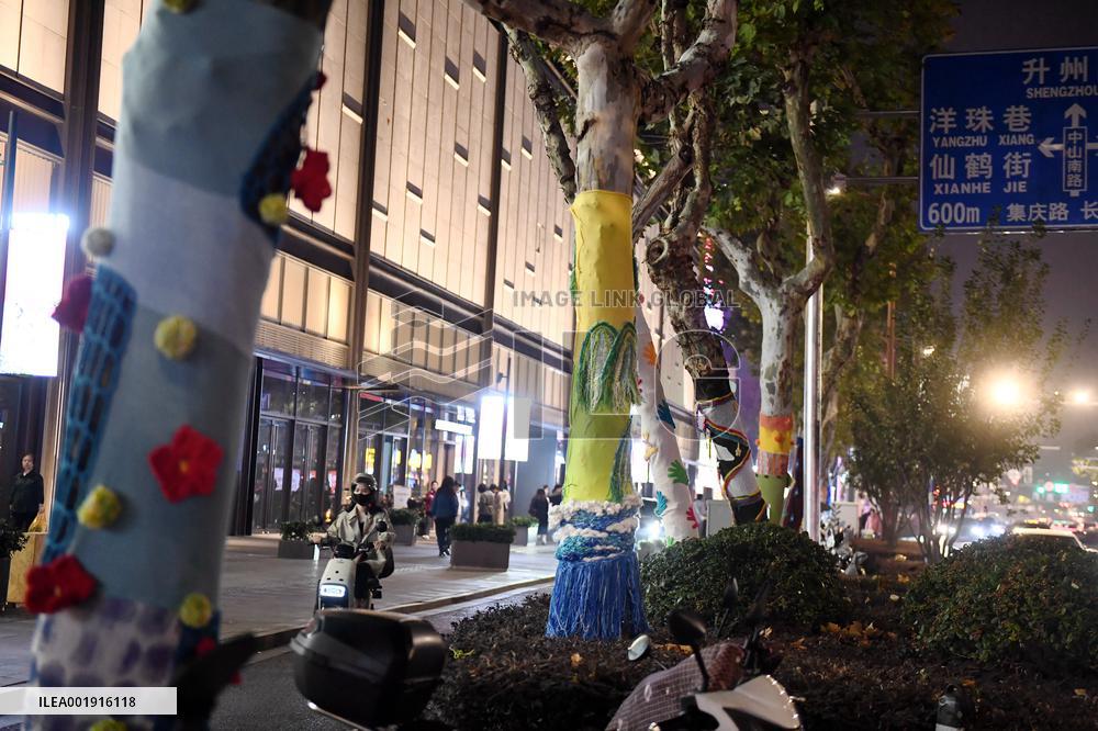 Wutong Tree in Warm Autumn Clothes in Nanjing