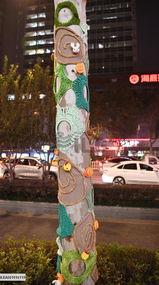 Wutong Tree in Warm Autumn Clothes in Nanjing