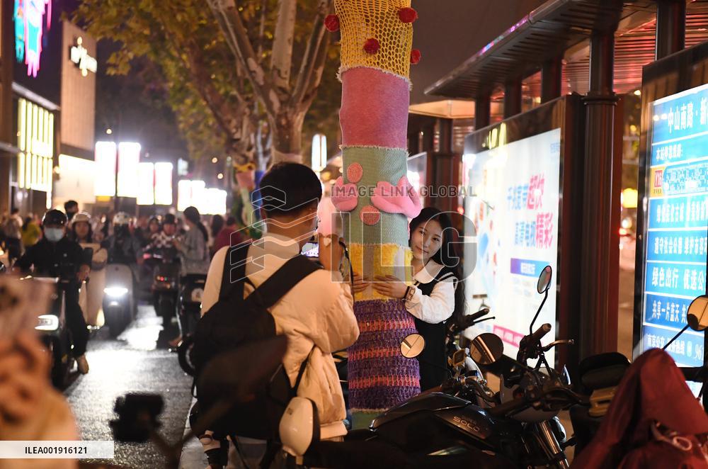 Wutong Tree in Warm Autumn Clothes in Nanjing