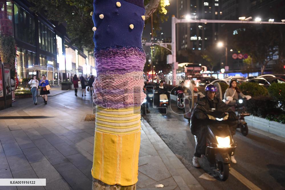 Wutong Tree in Warm Autumn Clothes in Nanjing