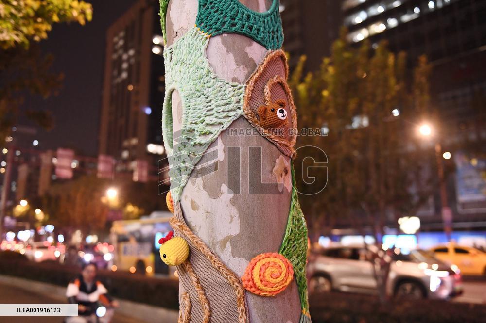 Wutong Tree in Warm Autumn Clothes in Nanjing