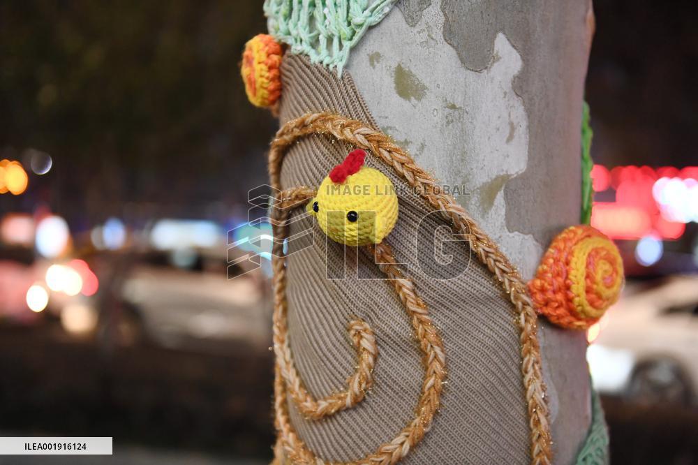 Wutong Tree in Warm Autumn Clothes in Nanjing