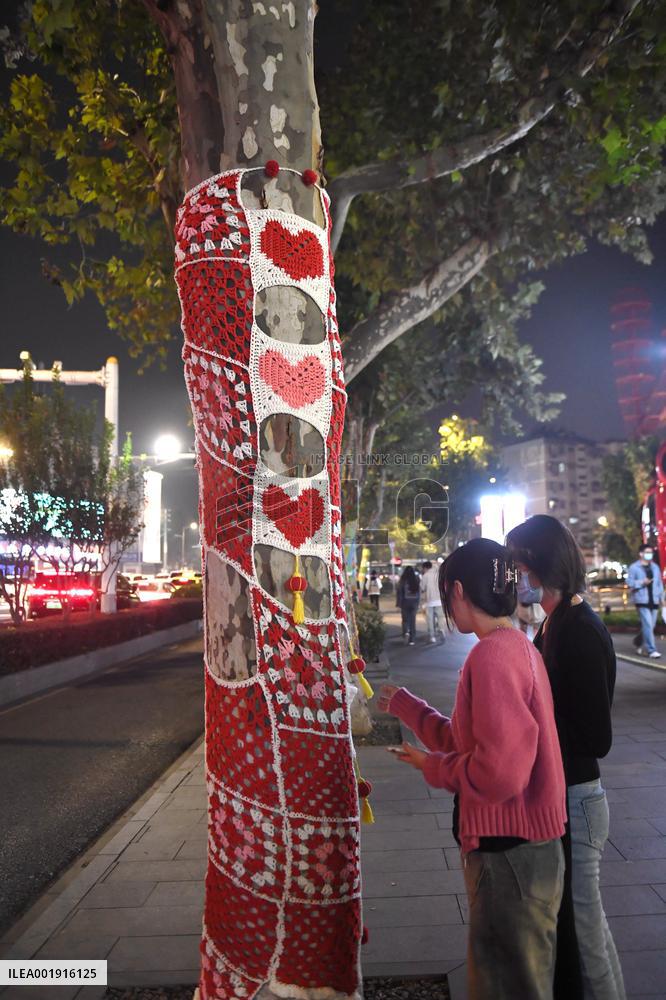 Wutong Tree in Warm Autumn Clothes in Nanjing