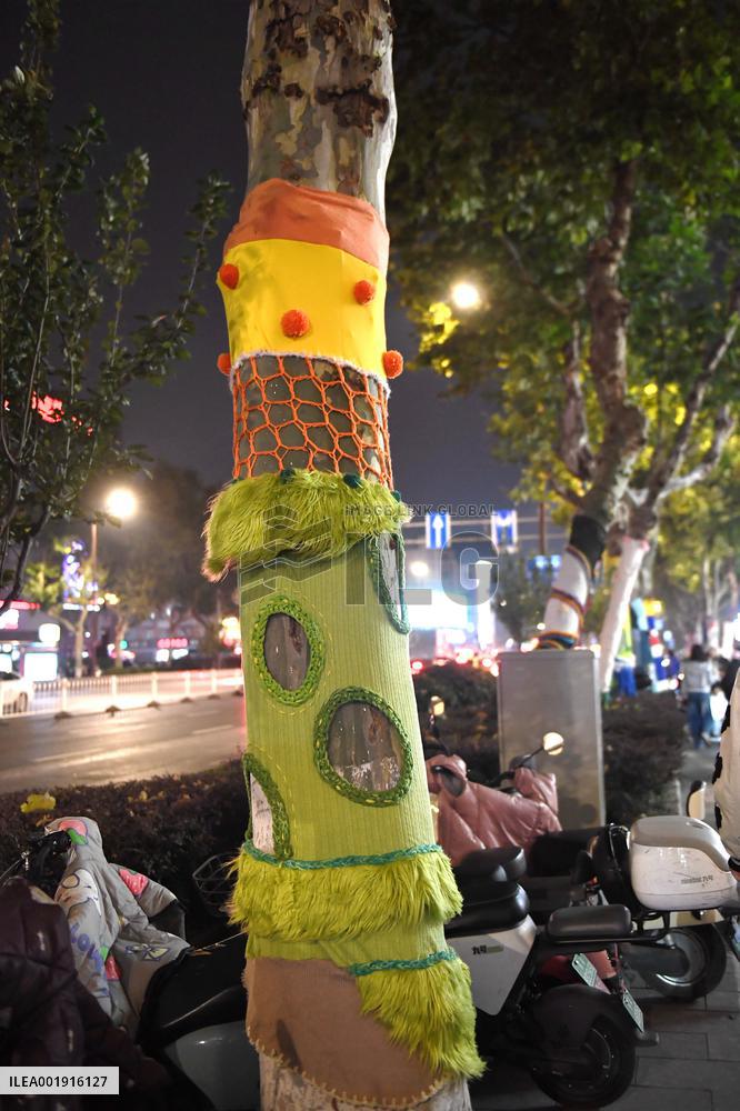 Wutong Tree in Warm Autumn Clothes in Nanjing