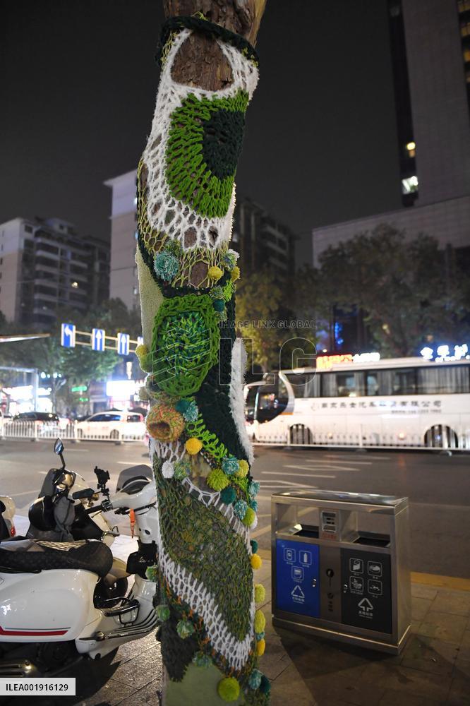 Wutong Tree in Warm Autumn Clothes in Nanjing
