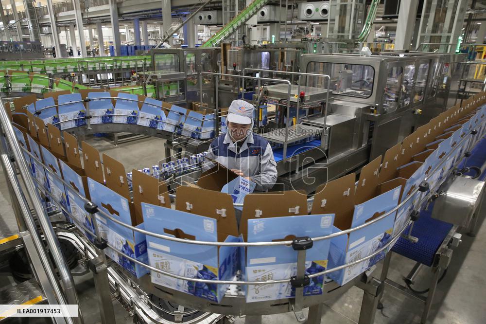 Workers Work at Mengniu Dairy Line  in Meishan