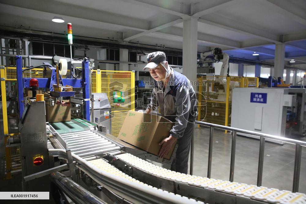 Workers Work at Mengniu Dairy Line  in Meishan