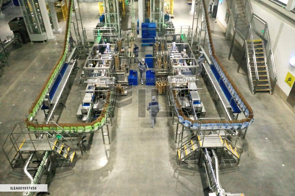 Workers Work at Mengniu Dairy Line  in Meishan