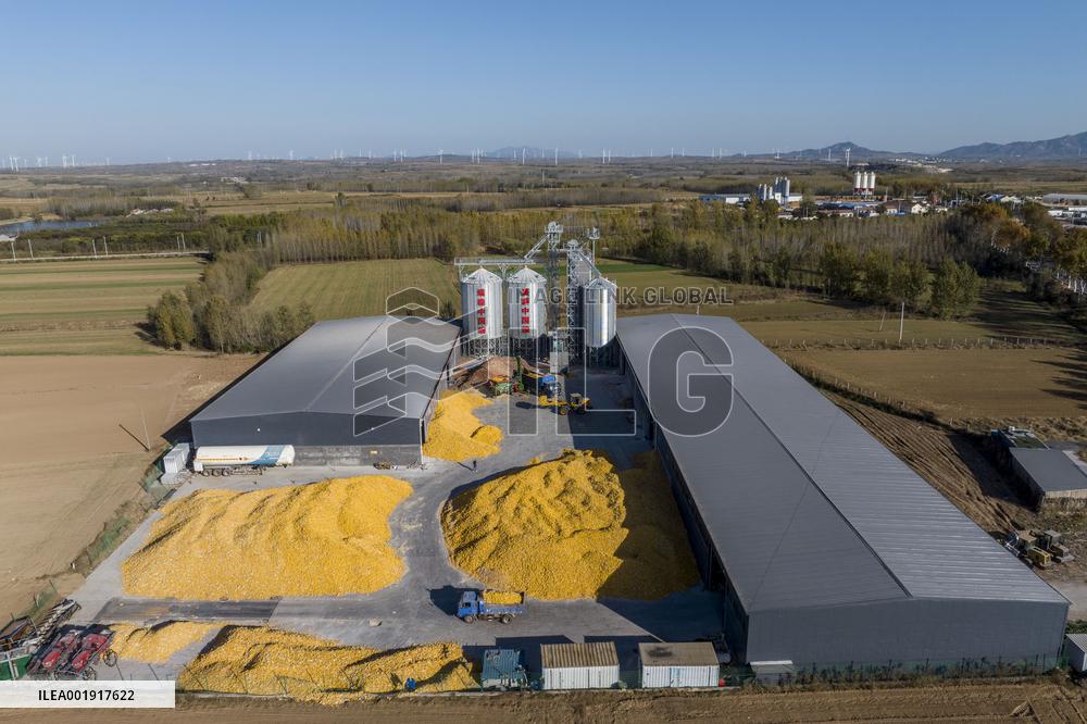 Grain Storage Center in Qingdao