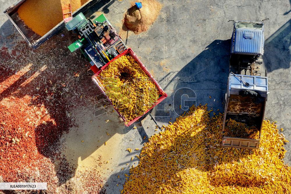 Grain Storage Center in Qingdao