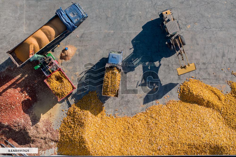 Grain Storage Center in Qingdao