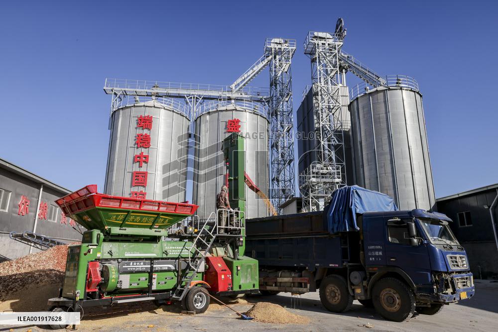 Grain Storage Center in Qingdao