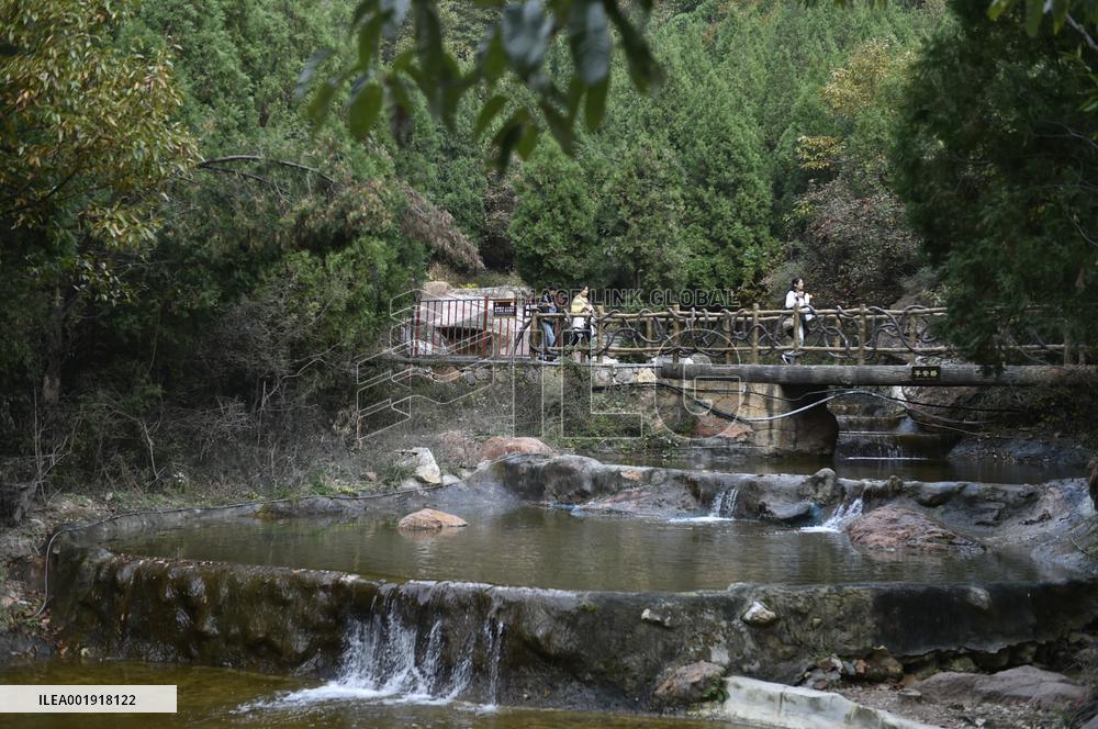 CHINA-HENAN-YUZHOU-FOREST PARK-AUTUMN (CN)