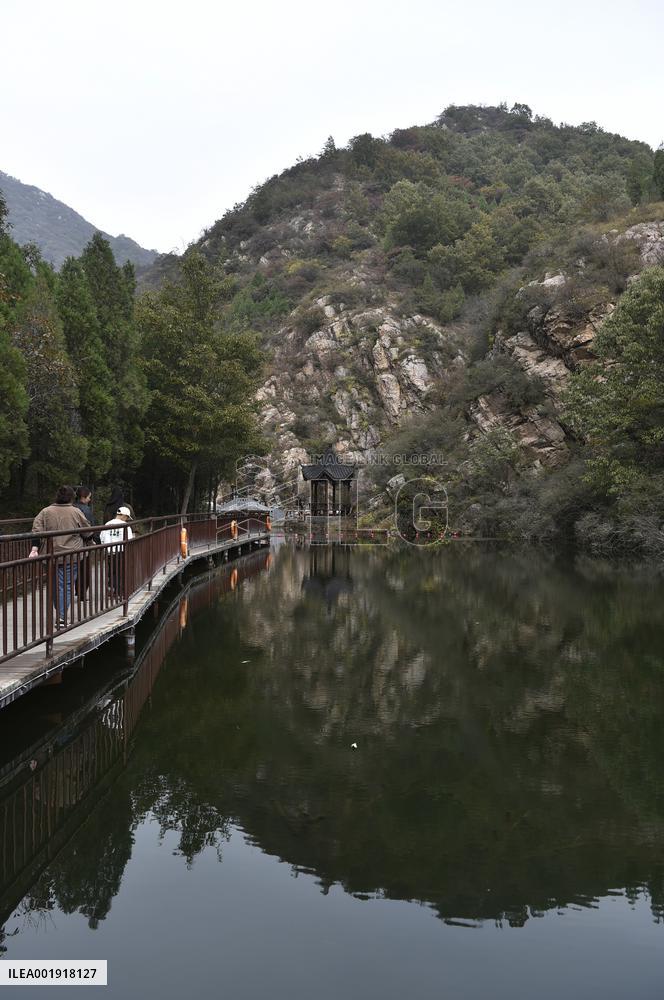CHINA-HENAN-YUZHOU-FOREST PARK-AUTUMN (CN)