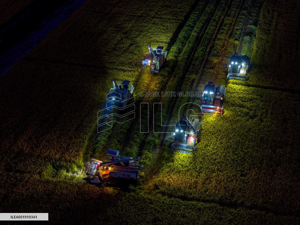 China Autumn Harvest