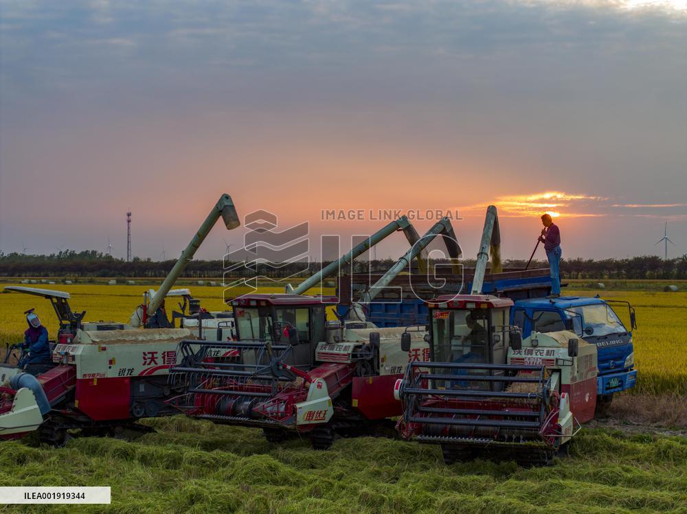 China Autumn Harvest