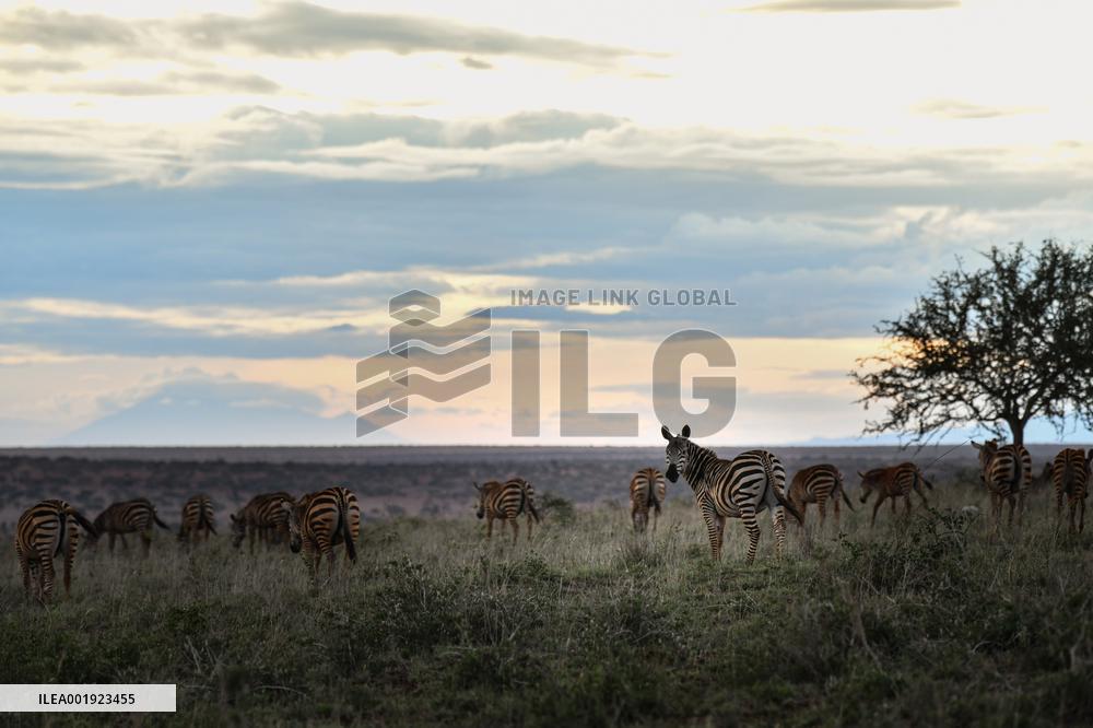 KENYA-TAITA-TAVETA-TAITA HILLS WILDLIFE SANCTUARY-SCENERY