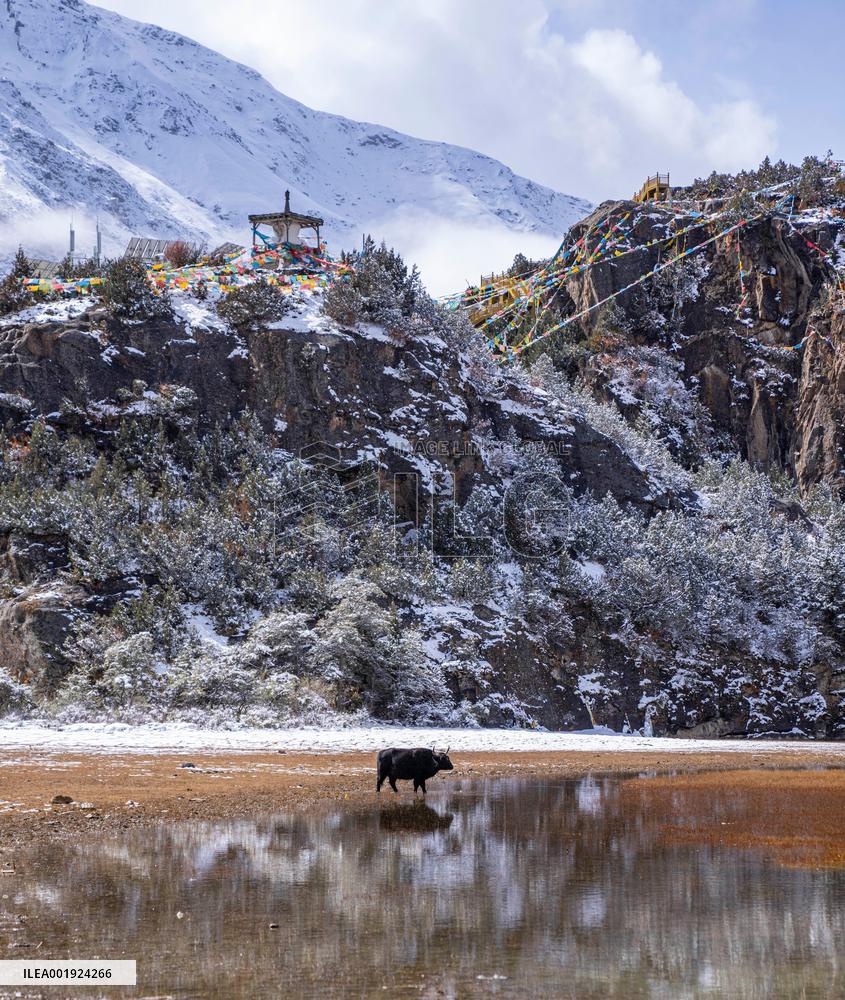 CHINA-TIBET-QAMDO-BANBAR-LANDSCAPE (CN)