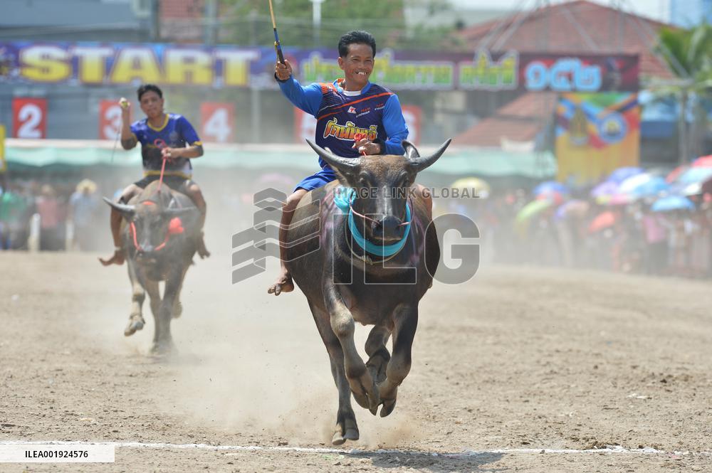 THAILAND-CHONBURI-BUFFALO RACE