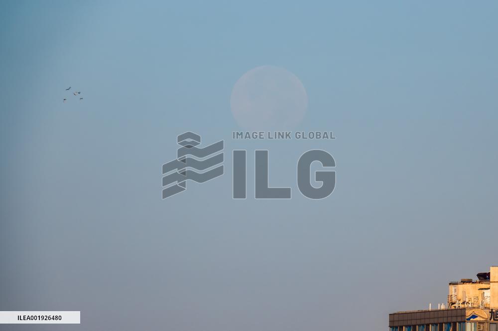 City Skyline in Shanghai