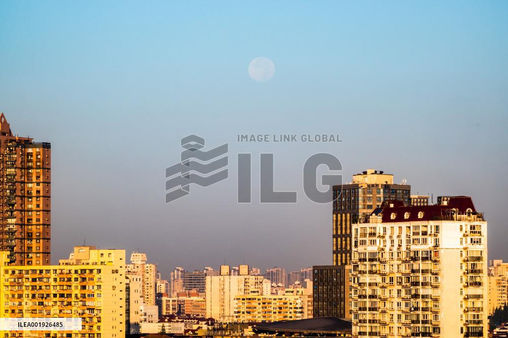 City Skyline in Shanghai