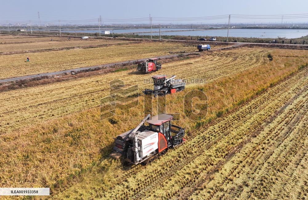 #CHINA-AUTUMN-HARVEST (CN)