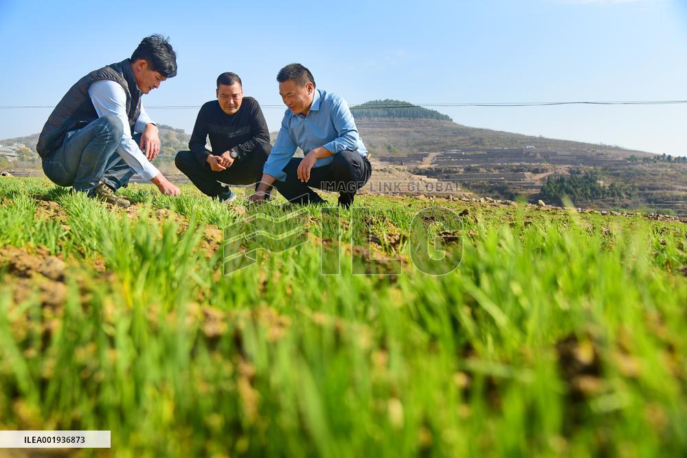 Land Consolidation Construction in Zaozhuang