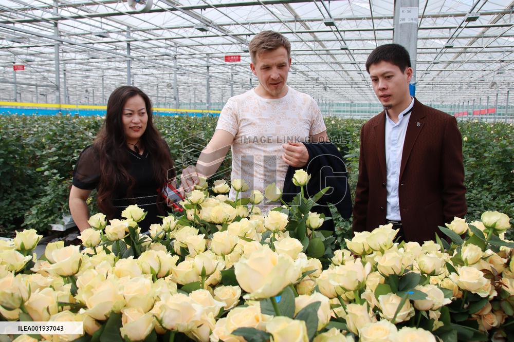 CHINA-GANSU-LINXIA-FLOWER BUSINESS-INT'L TRADE (CN)