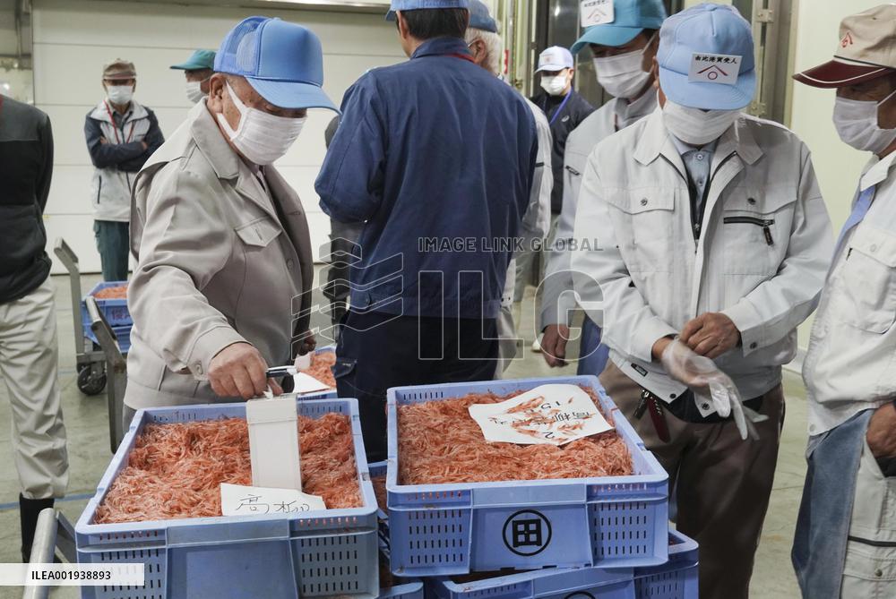 Sakura shrimp auction in Japan