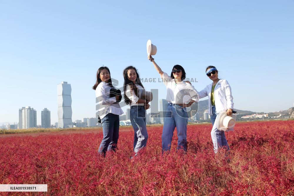 Red Beach Iin Lianyungang