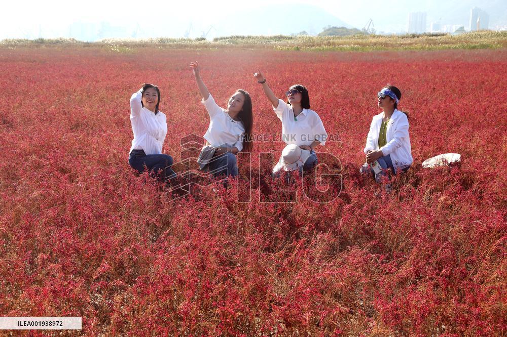 Red Beach Iin Lianyungang