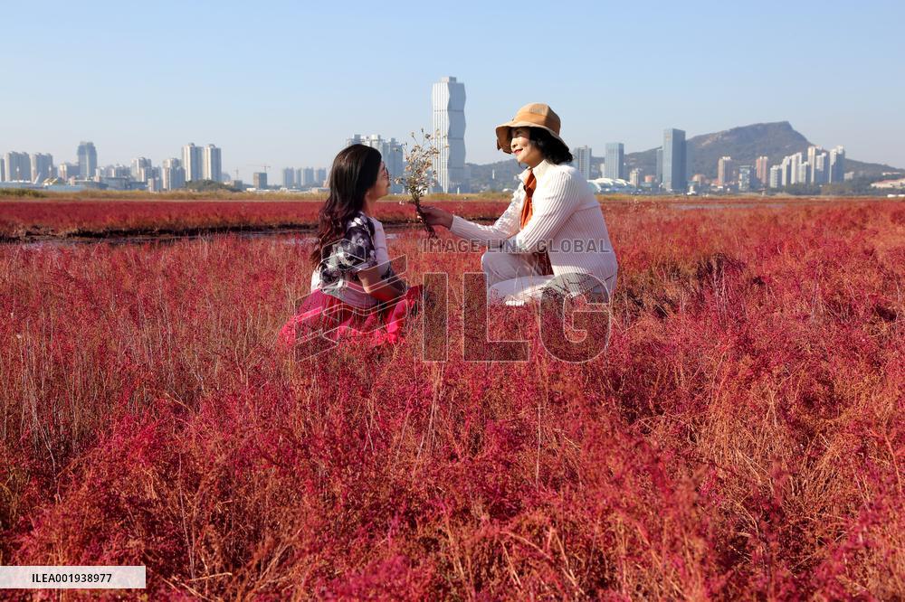 Red Beach Iin Lianyungang