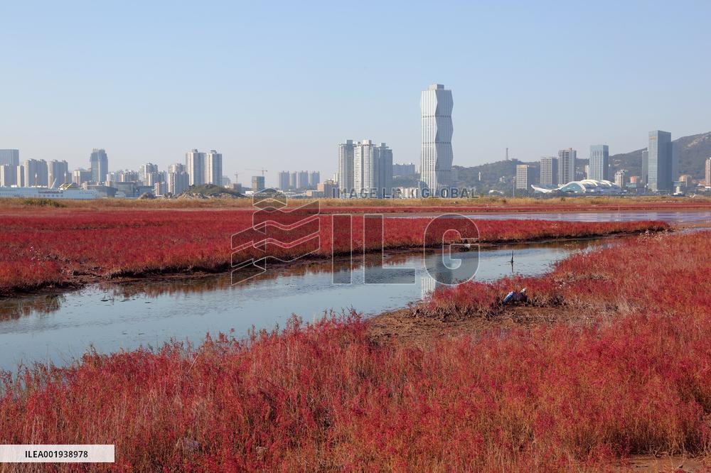 Red Beach Iin Lianyungang