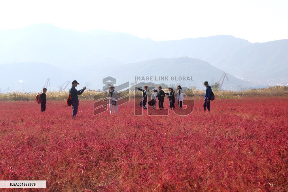 Red Beach Iin Lianyungang